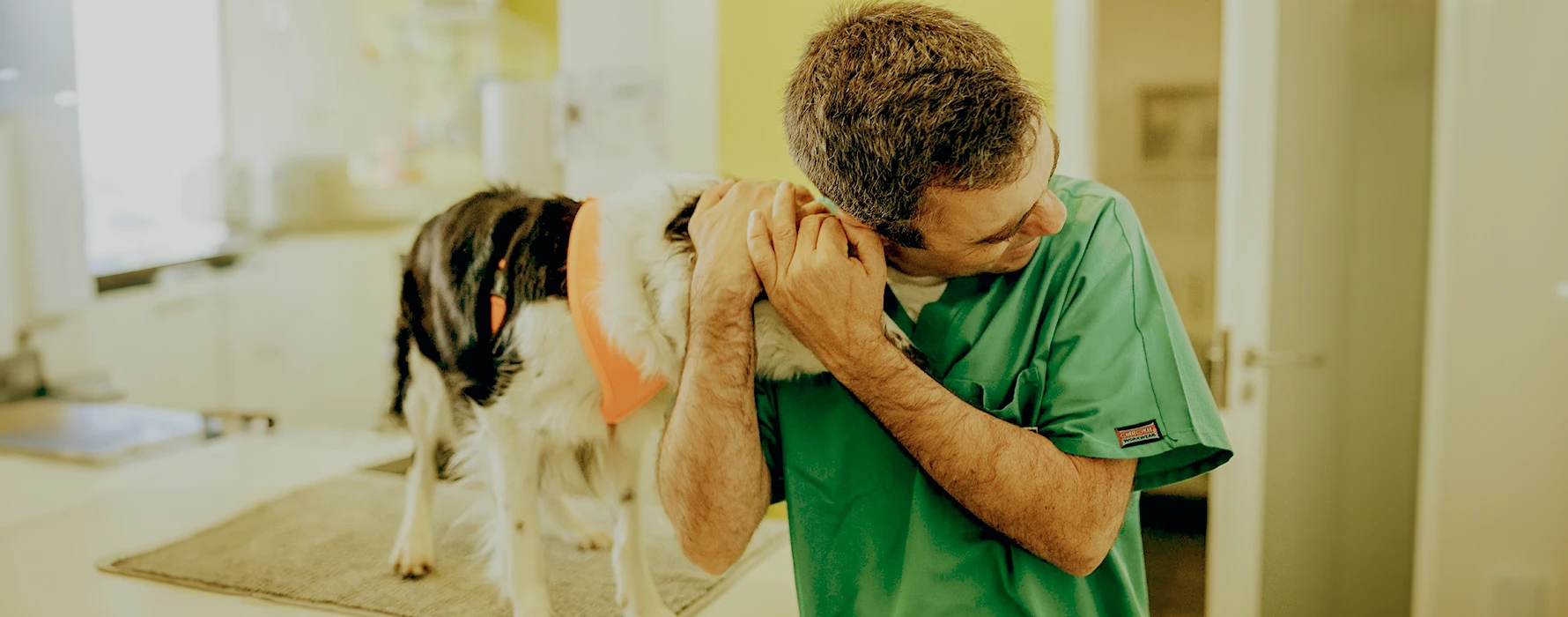 Vet.Point <span><br>Clínica Veterinária de Oeiras</span>